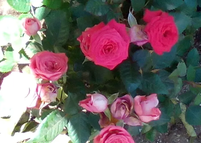 לינה וארוחת בוקר A Palazzo